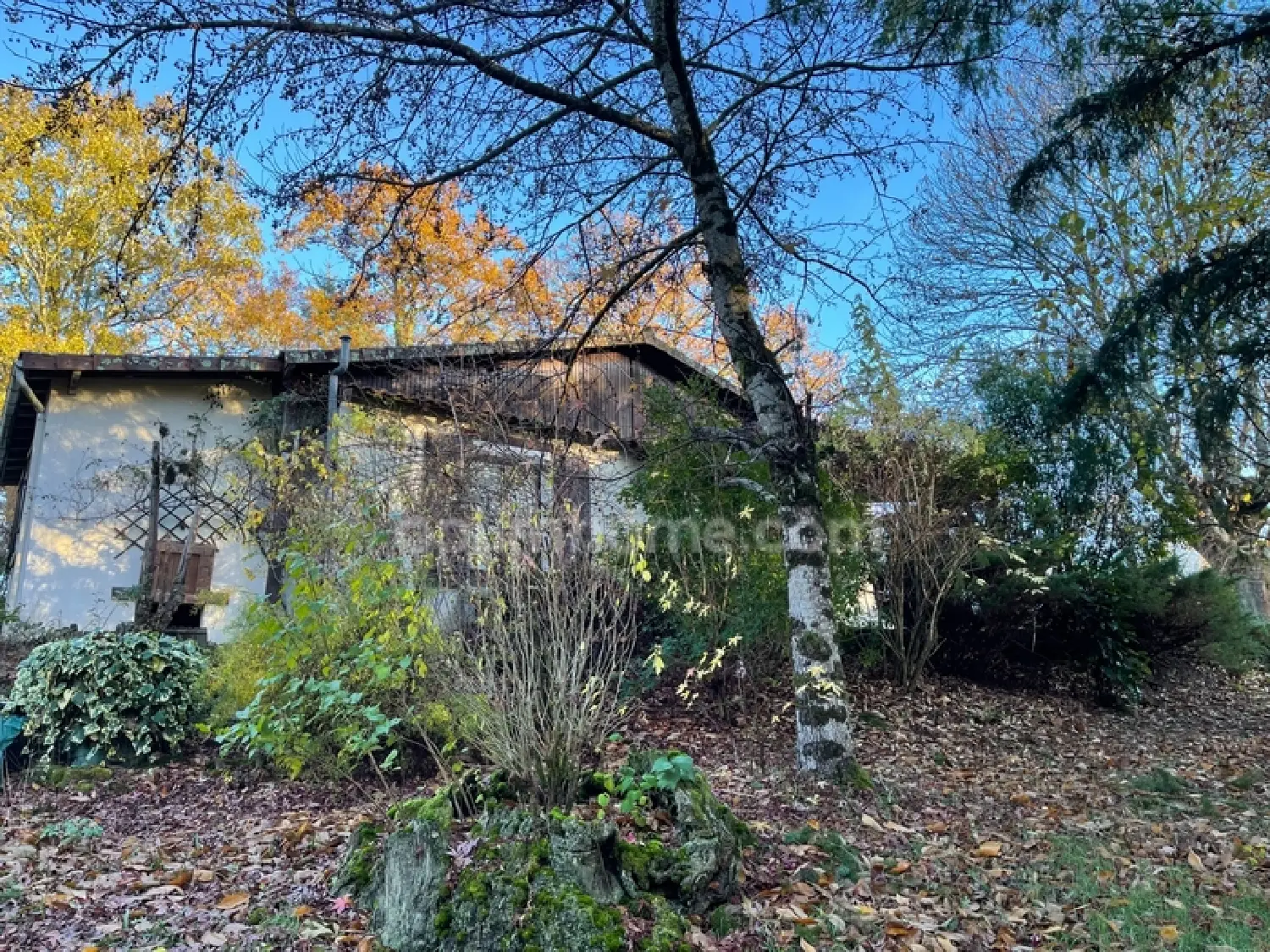  à vendre maison Thouron Haute-Vienne 3