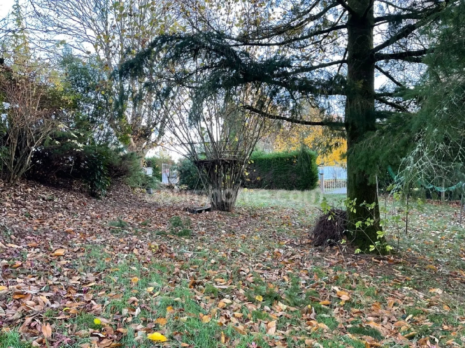  à vendre maison Thouron Haute-Vienne 5