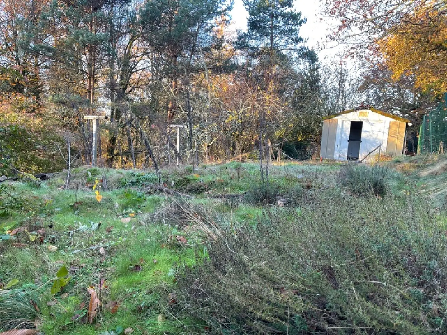  à vendre maison Thouron Haute-Vienne 7