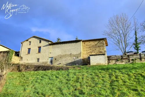 Thurins Rhône casa foto 7089135