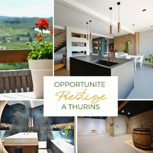 Thurins Rhône Haus Bild 7099565