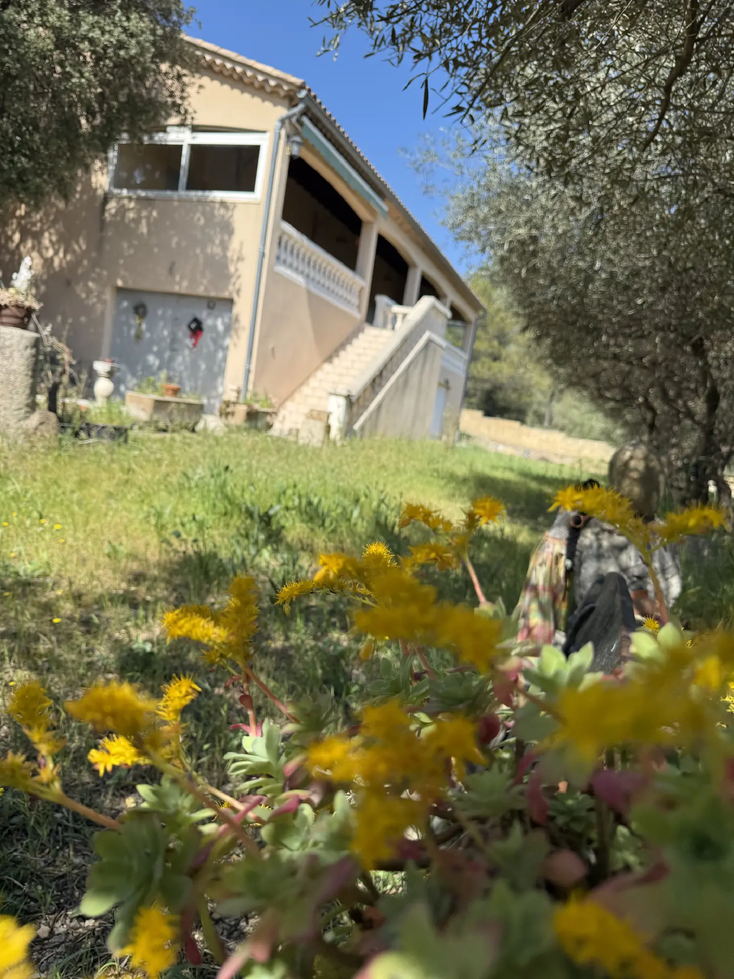  à vendre maison Tornac Gard 1