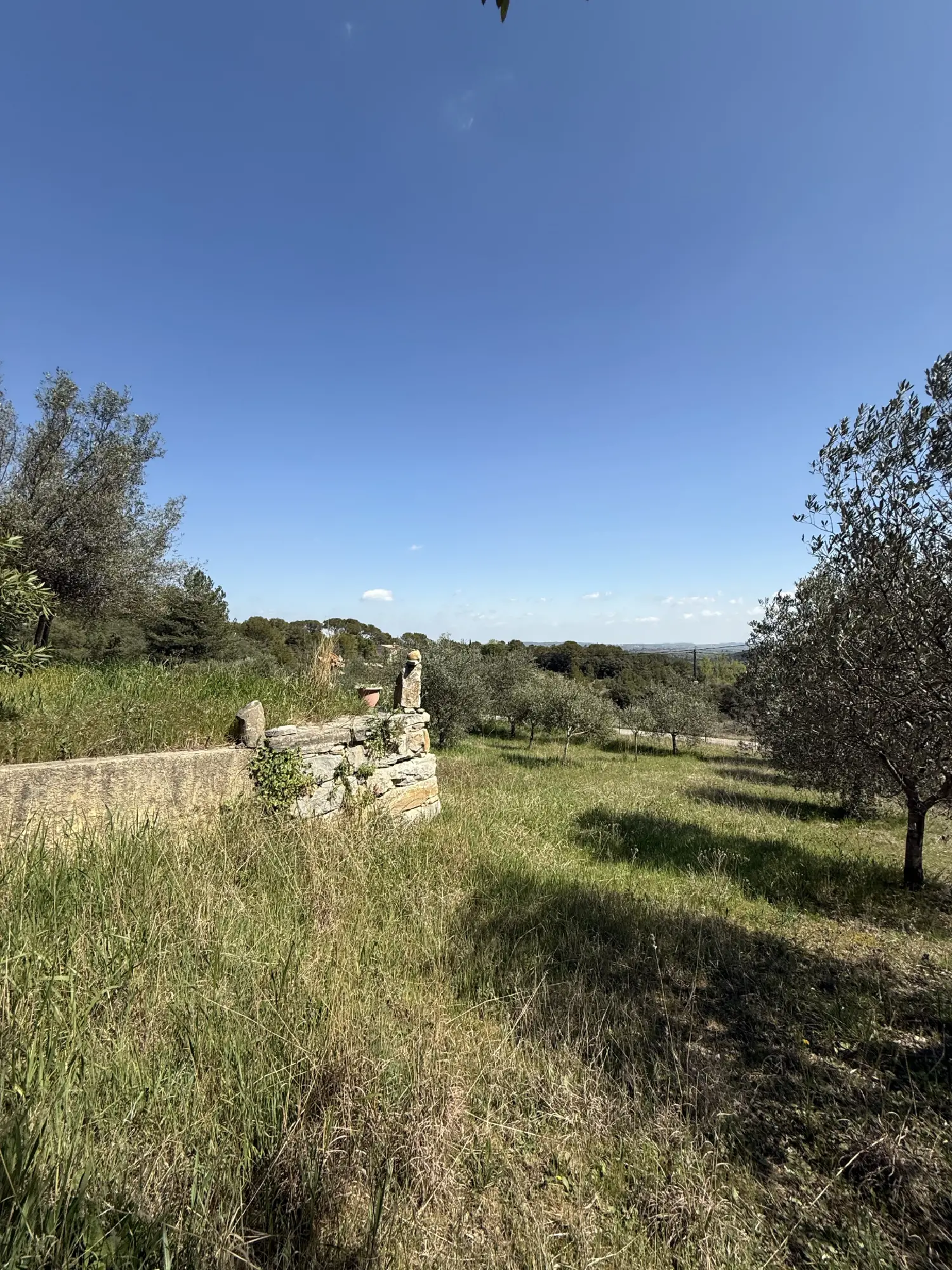  à vendre maison Tornac Gard 3