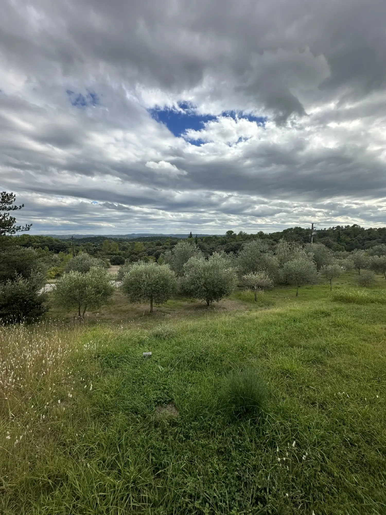  à vendre maison Tornac Gard 4