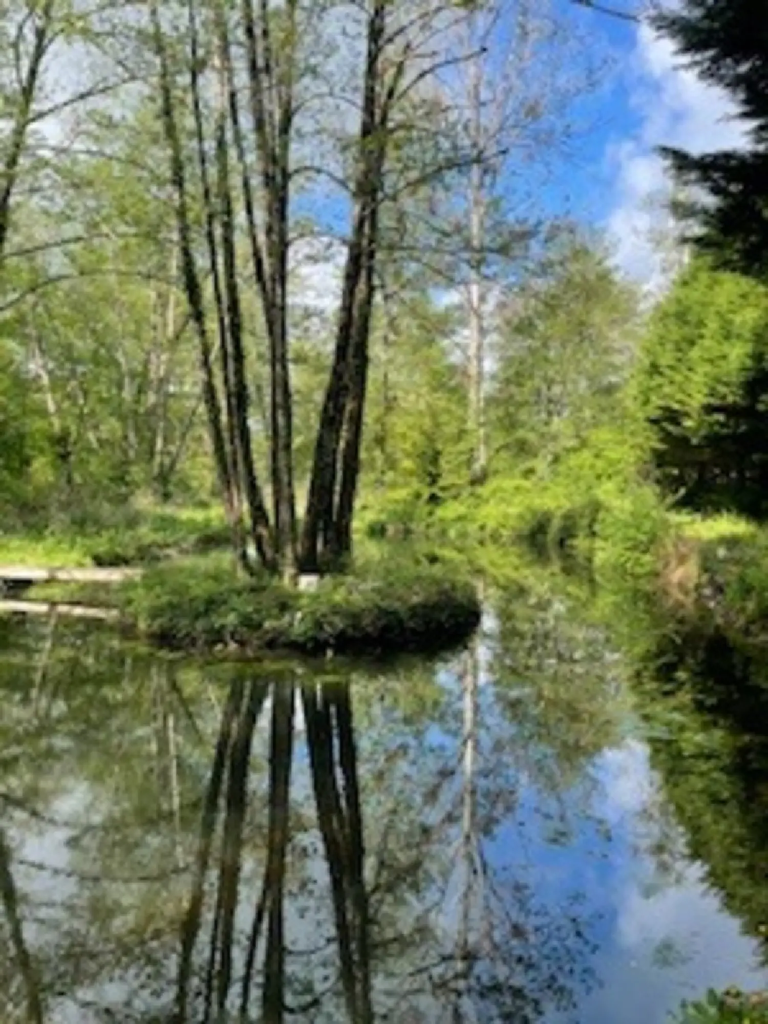  en venta casa Torsac Charente 2