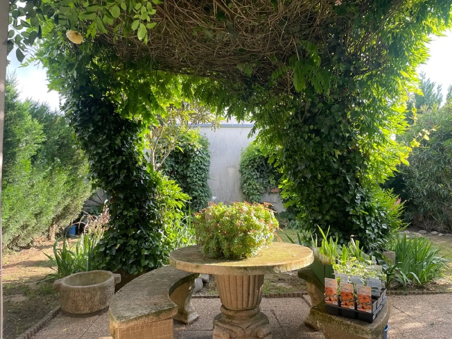  à vendre maison Toulouse 31300 Haute-Garonne 4