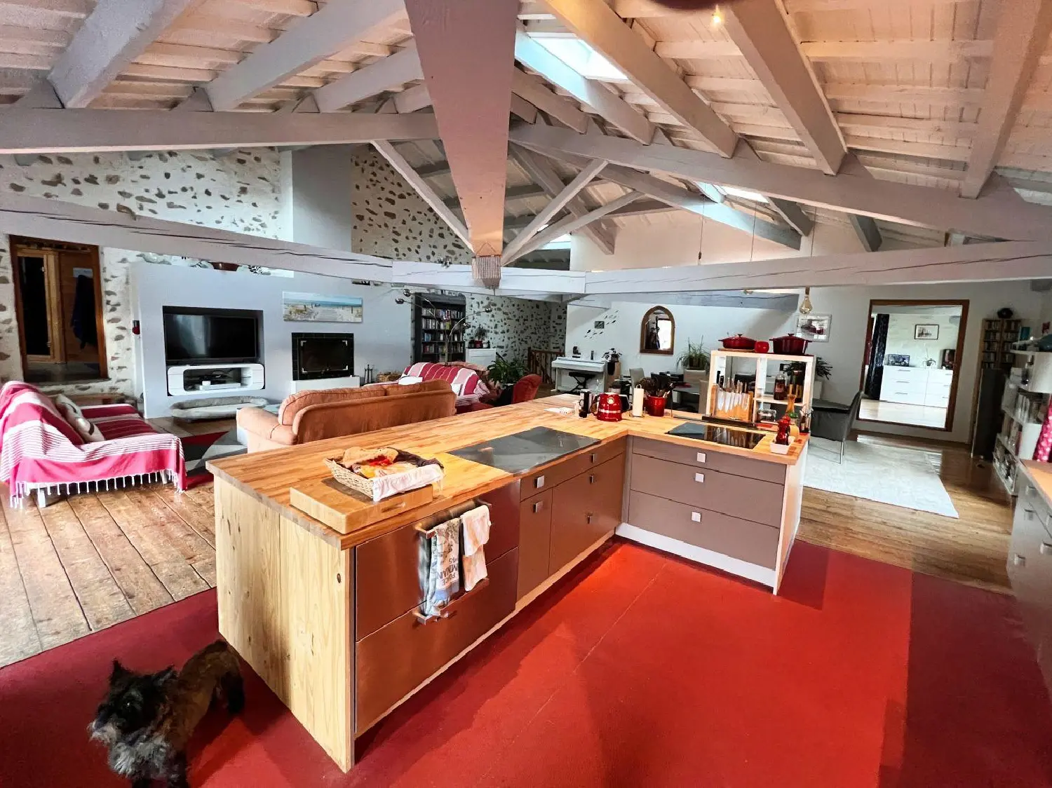  en venta casa Tourouzelle Aude 5