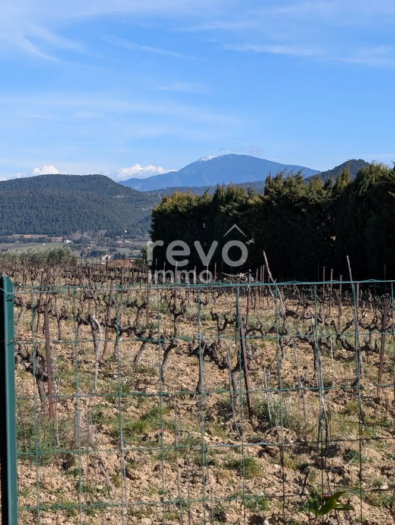  te koop huis Vaison-la-Romaine Vaucluse 6