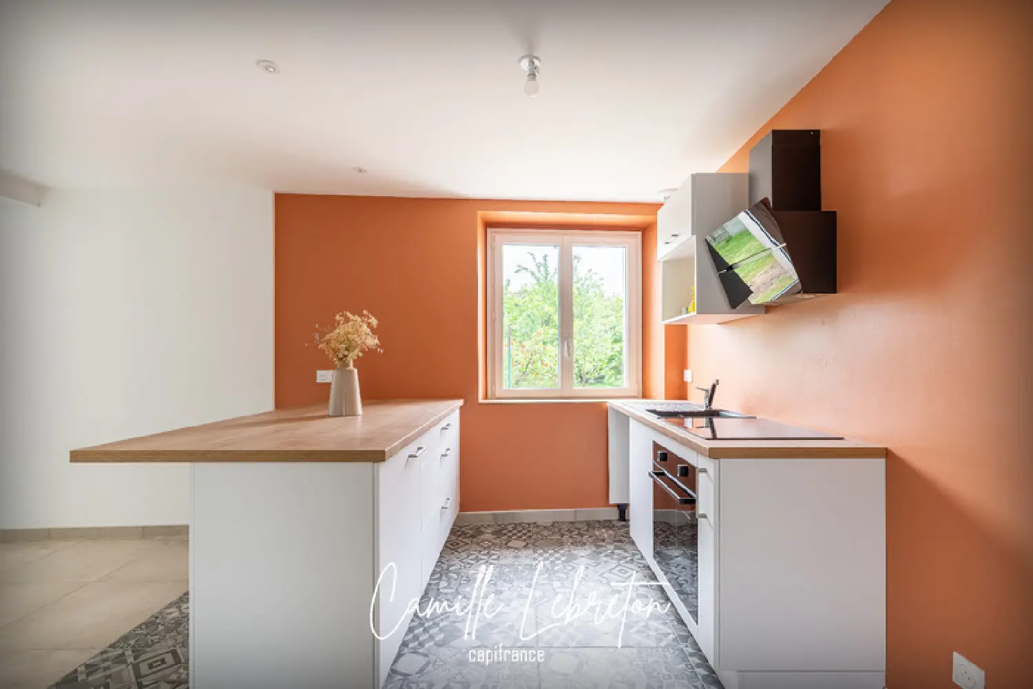  en venta casa Vallet Loire-Atlantique 1