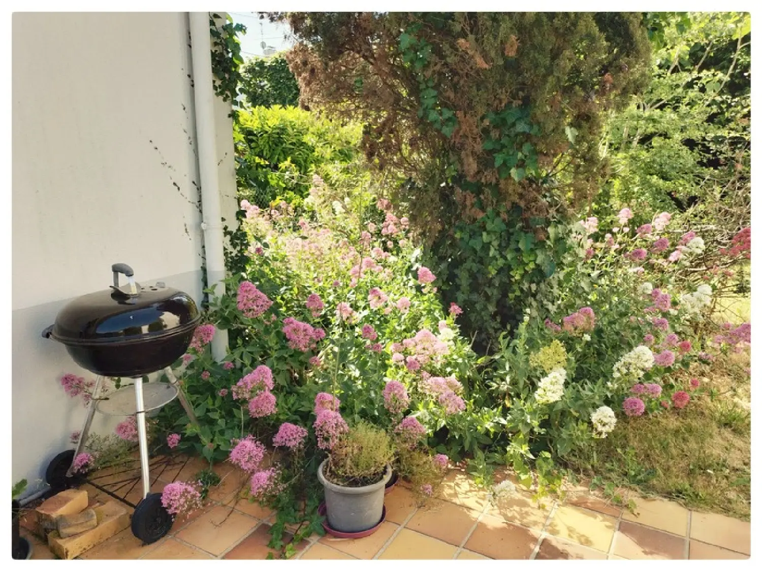  en venta casa Vannes Morbihan 5