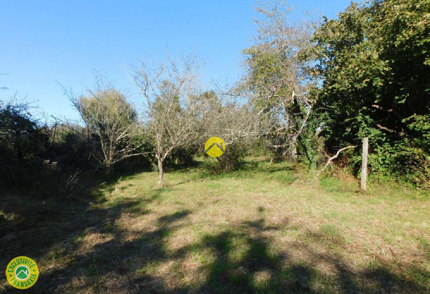  en venta casa Vatan Indre 3