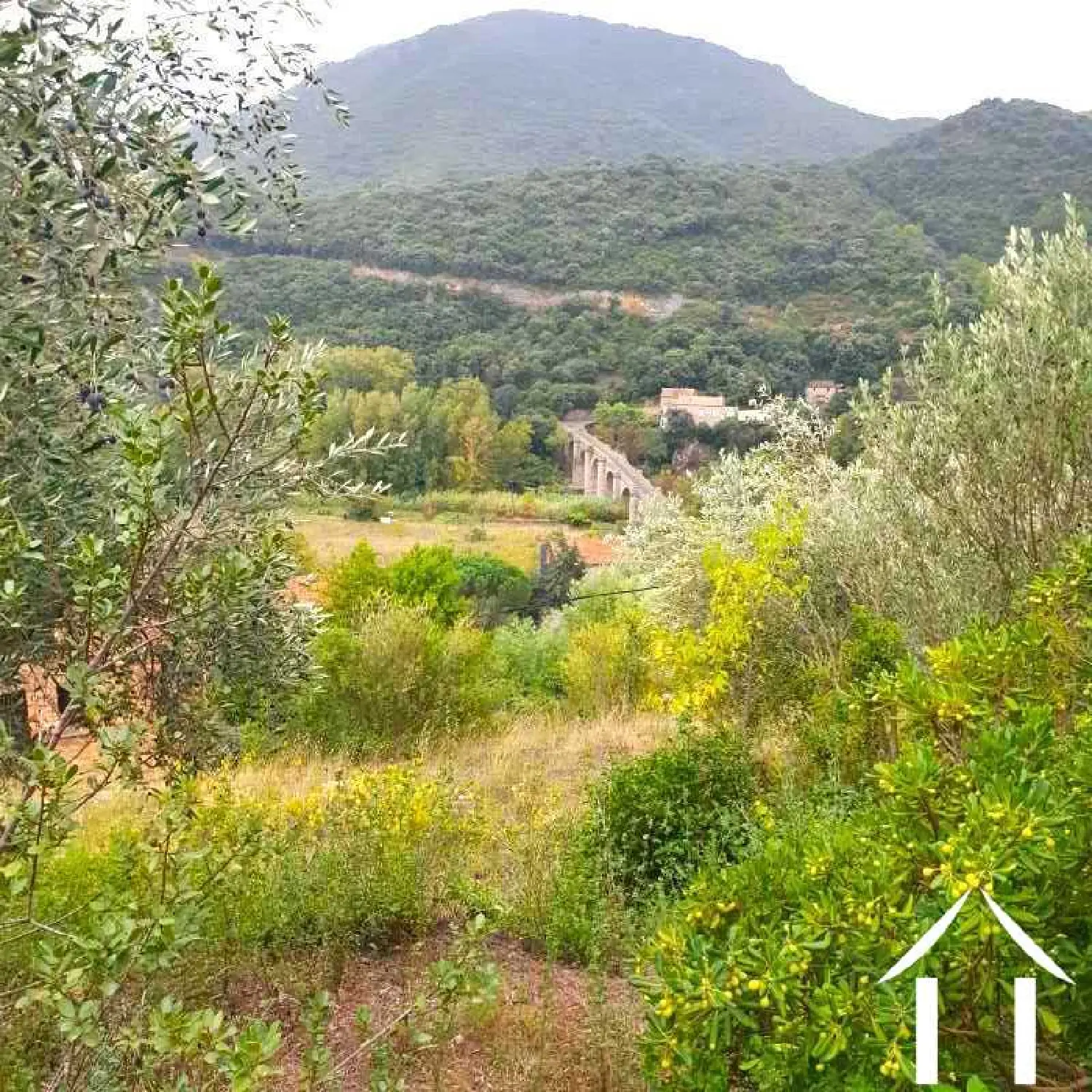  à vendre maison Vieussan Hérault 6