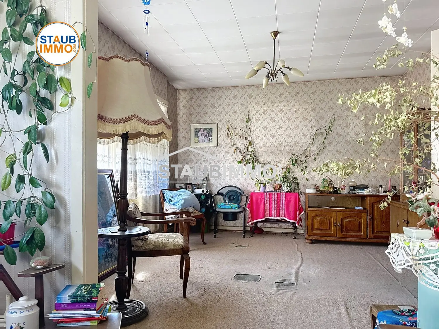  à vendre maison Village-Neuf Haut-Rhin 6