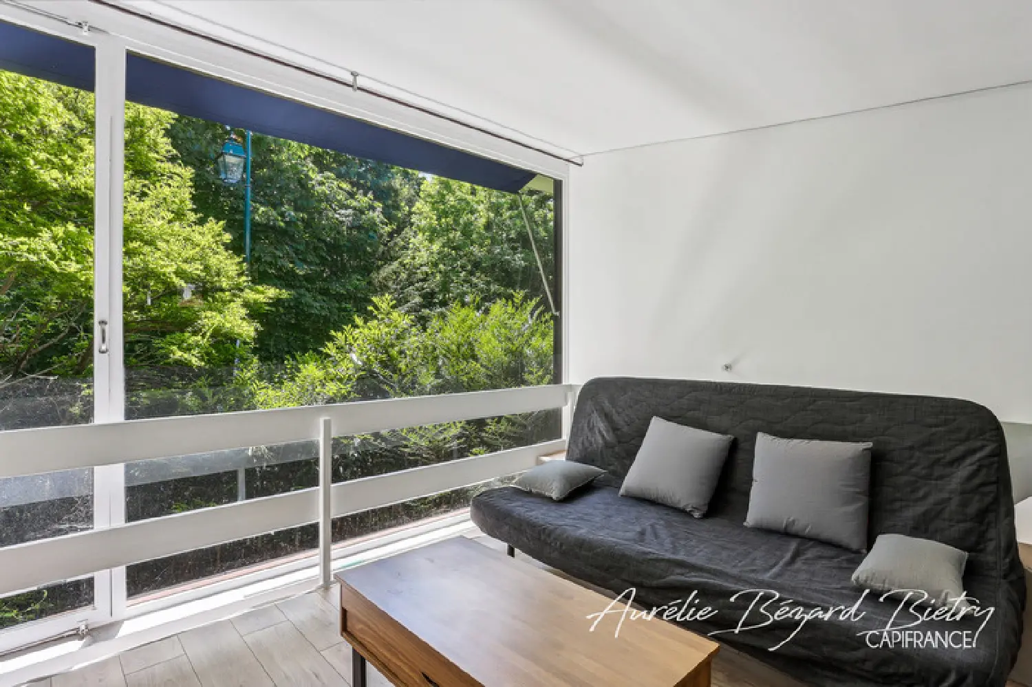  te koop huis Ville-d'Avray Hauts-de-Seine 6