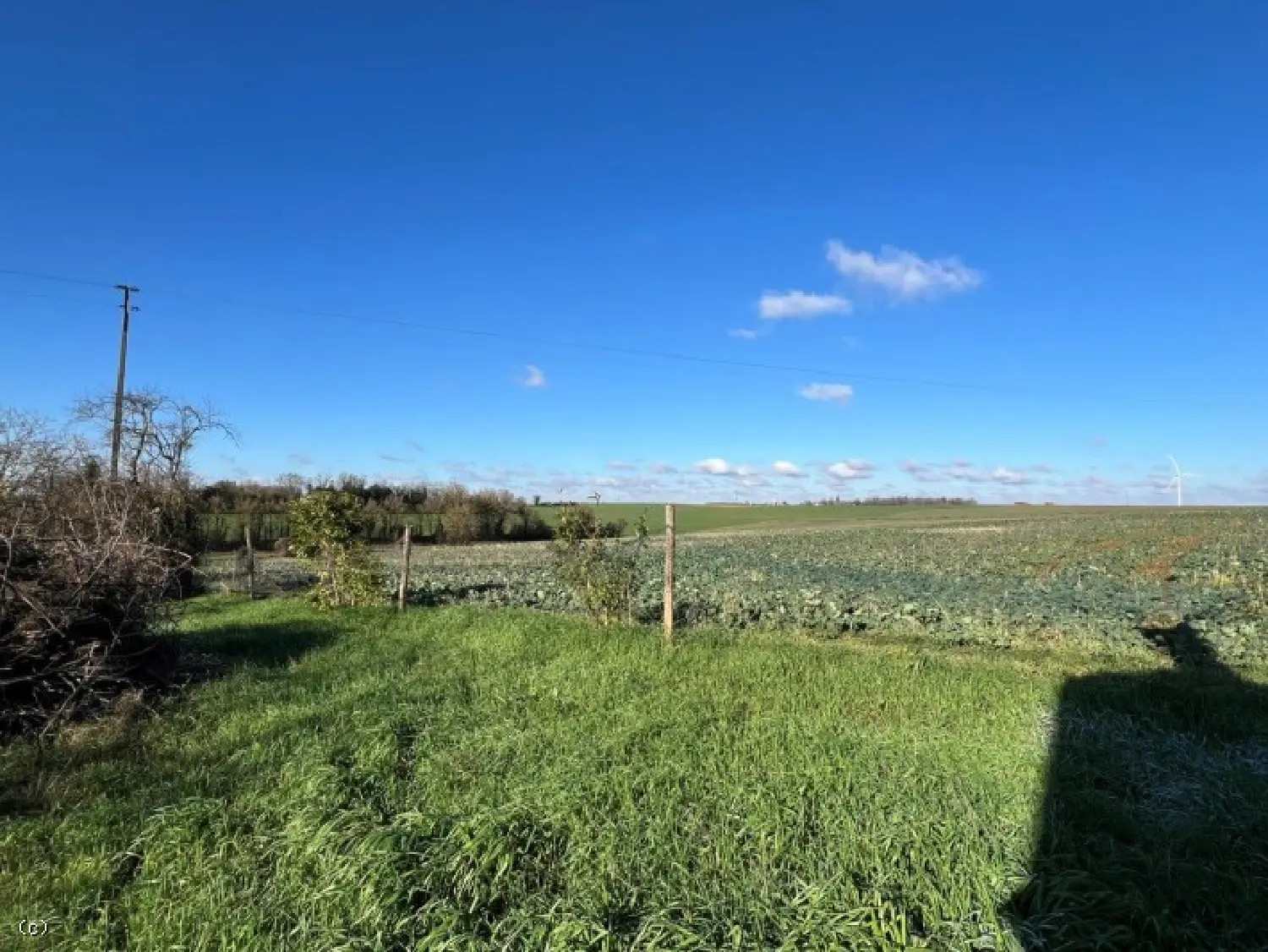  for sale house Villefagnan Charente 5