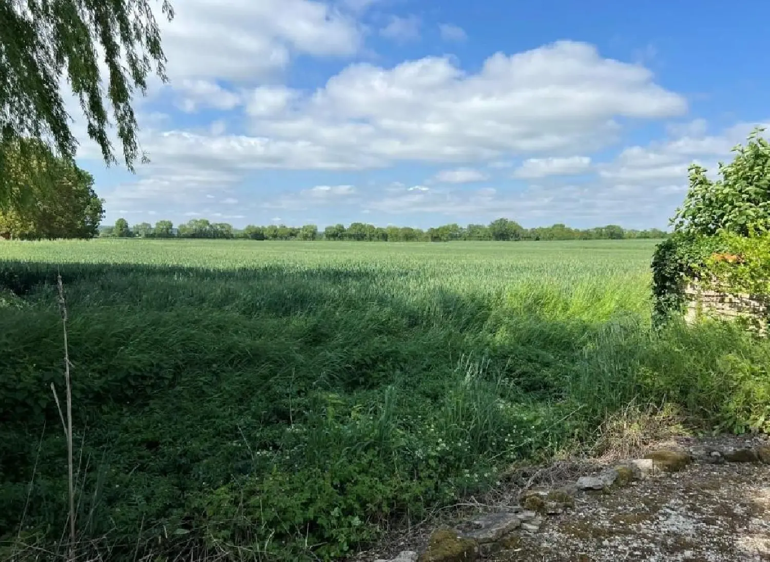  te koop huis Villefagnan Charente 3