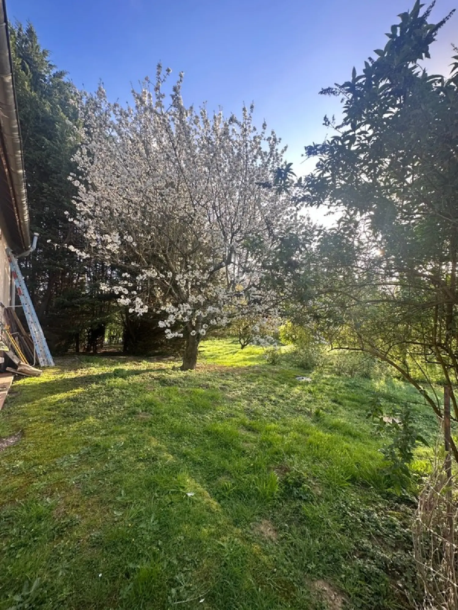  kaufen Haus Vitteaux Côte-d'Or 4