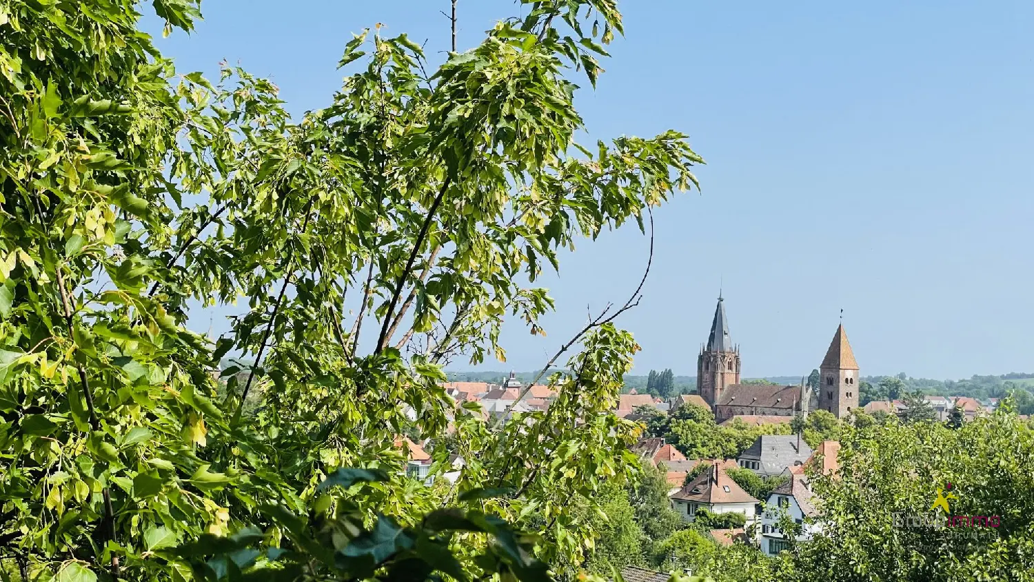  à vendre maison Wissembourg Bas-Rhin 4