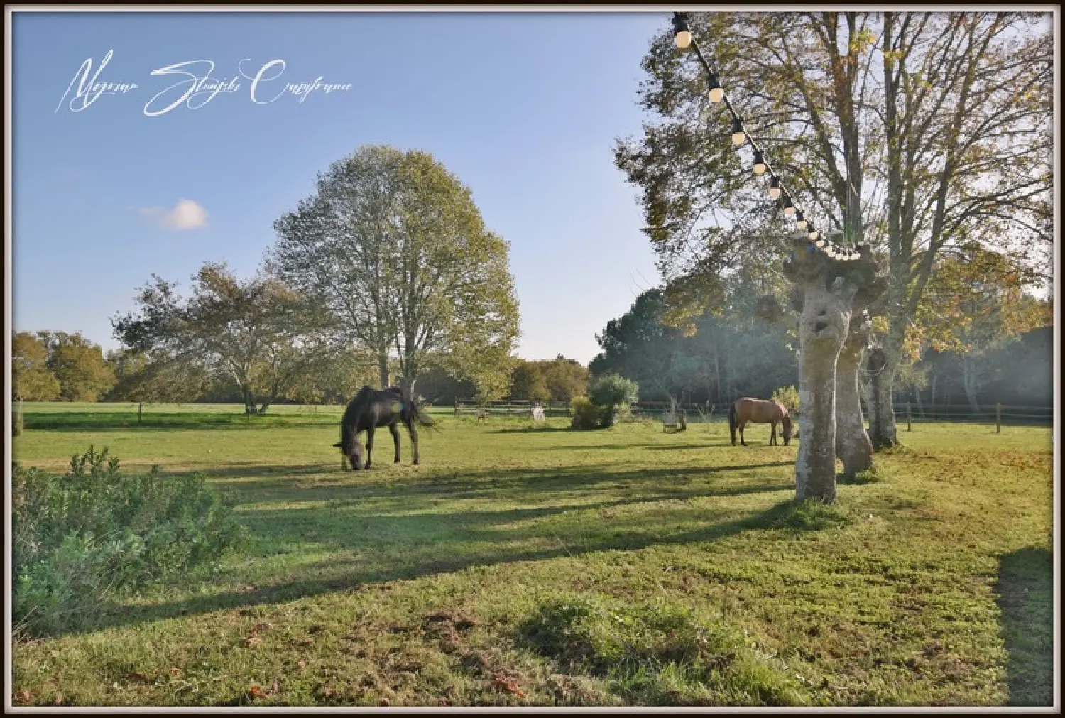  à vendre maison bourgeoise Biscarrosse Landes 2