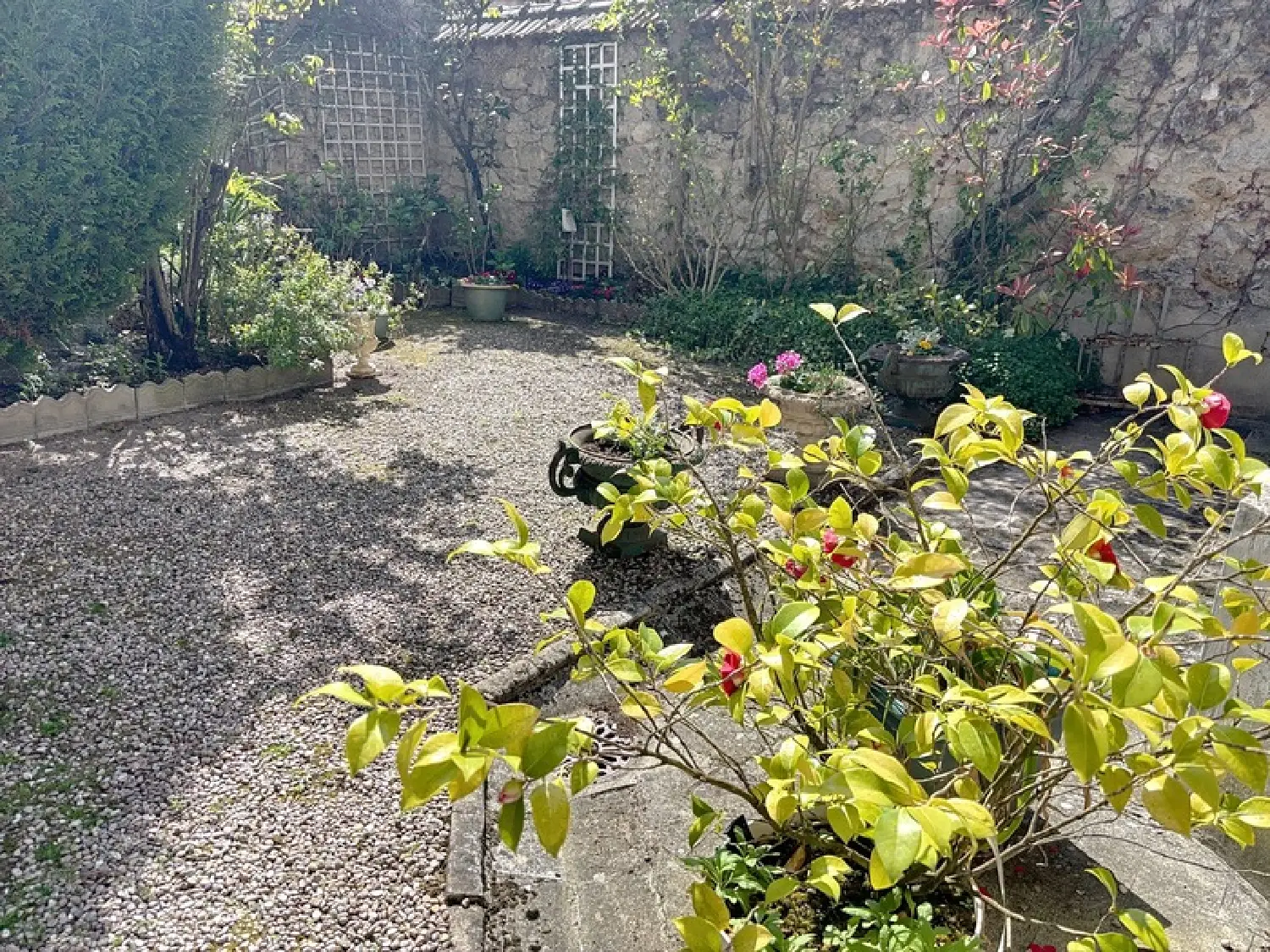  à vendre maison bourgeoise Reims Marne 5