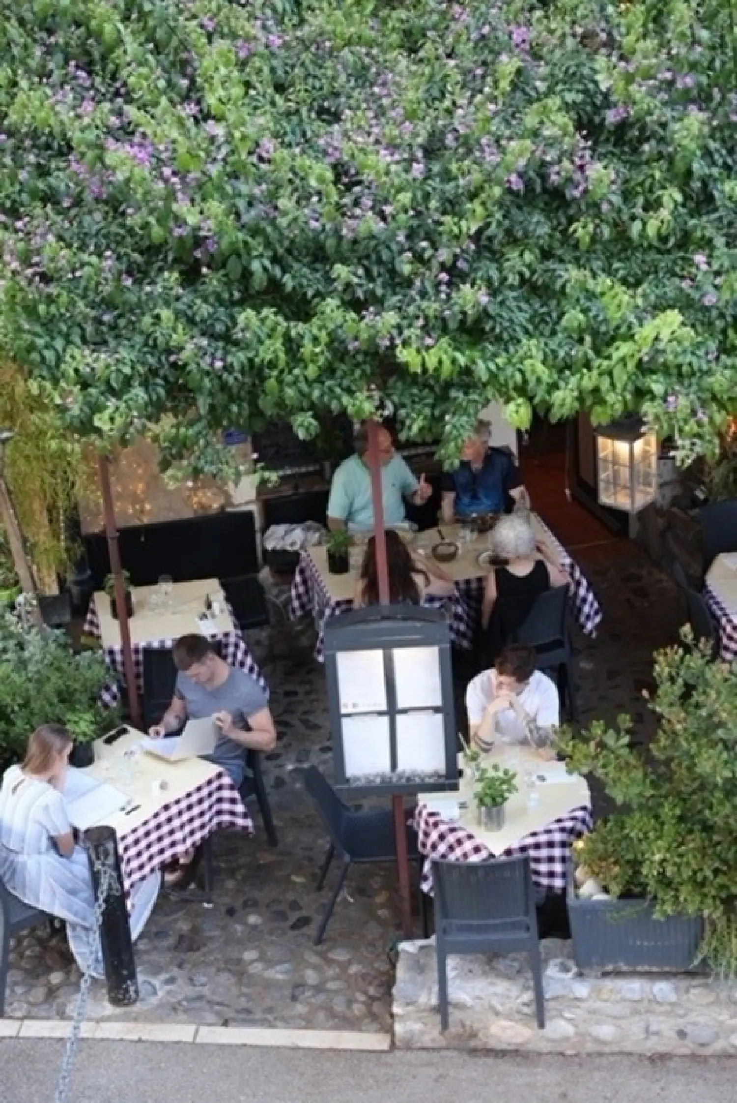  for sale restaurant Cagnes-sur-Mer Alpes-Maritimes 2