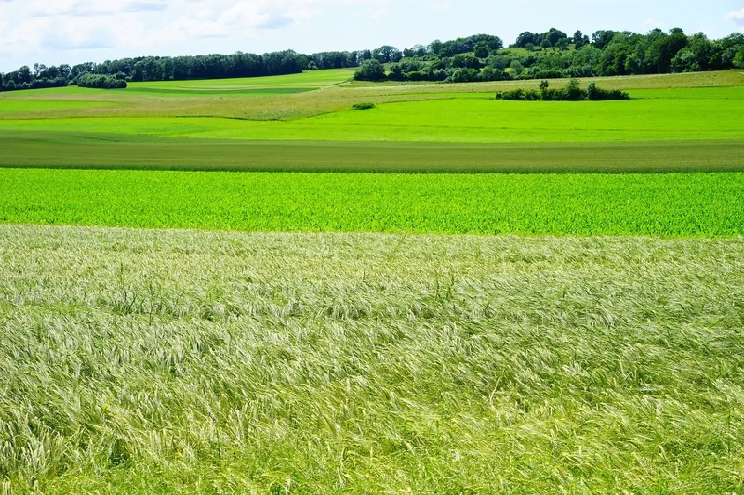  à vendre terrain Achères Yvelines 1