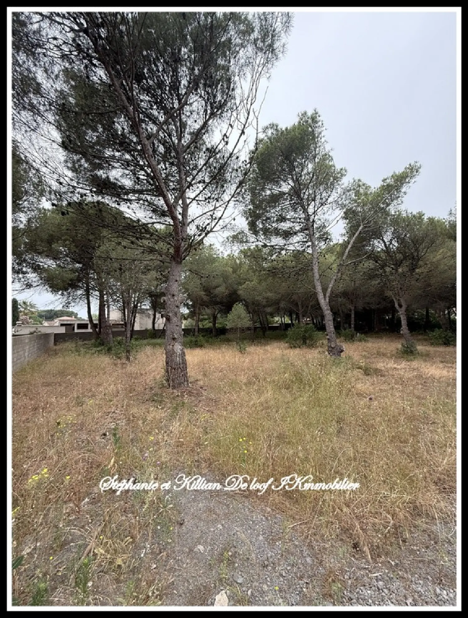  en venta terreno Agde Hérault 1