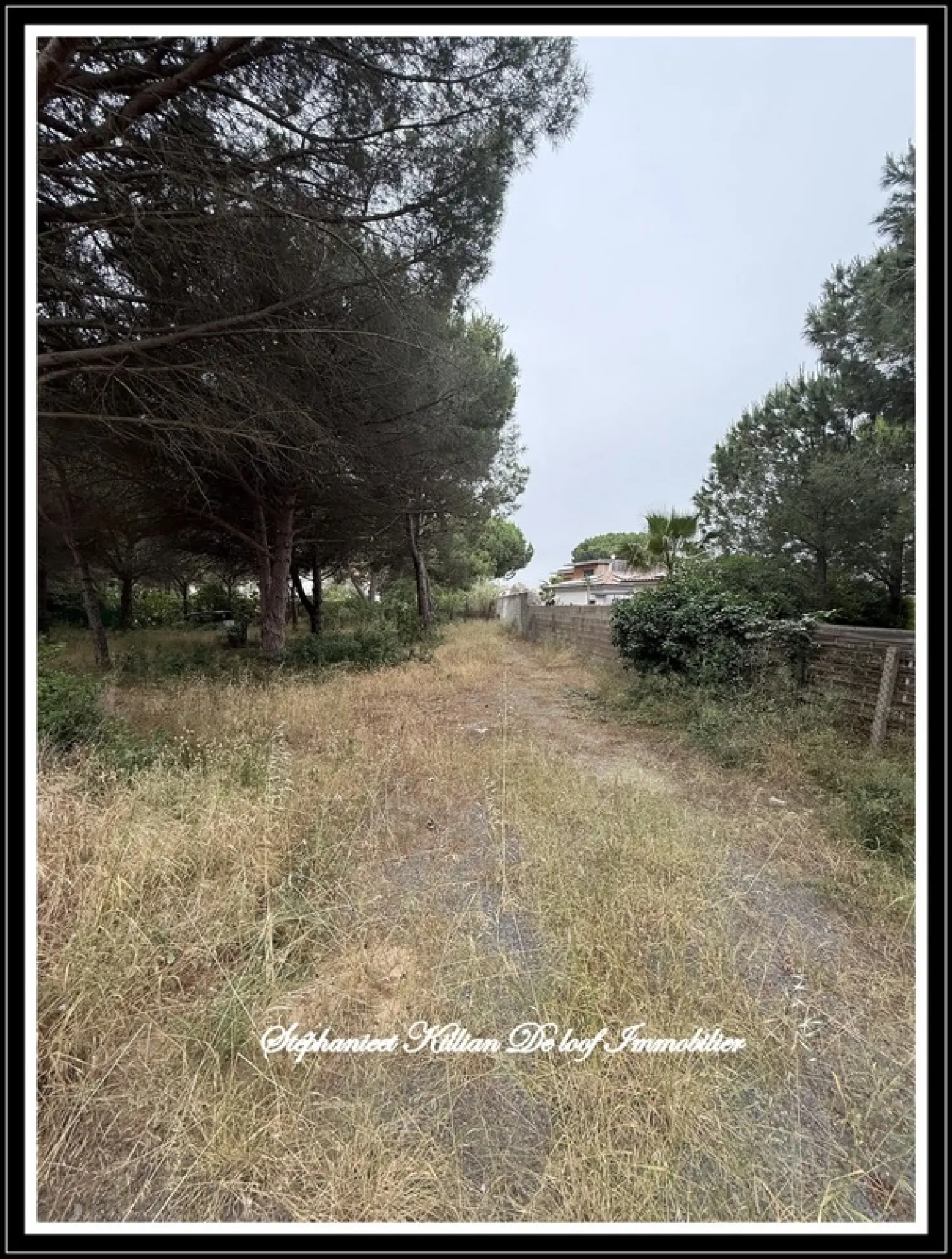  en venta terreno Agde Hérault 2