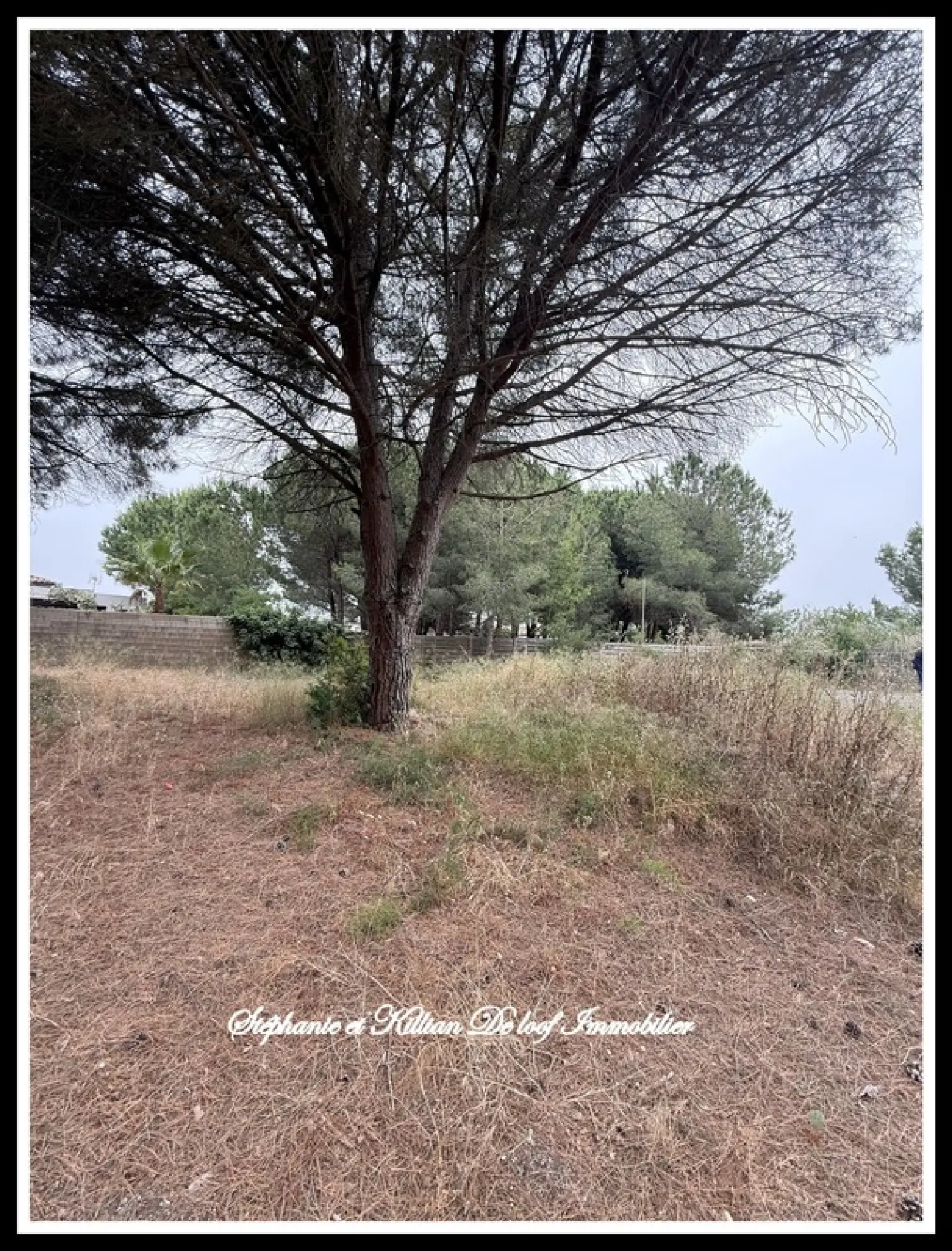  en venta terreno Agde Hérault 3