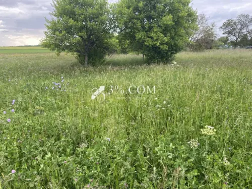 Aillianville Haute-Marne terreno foto 7096292