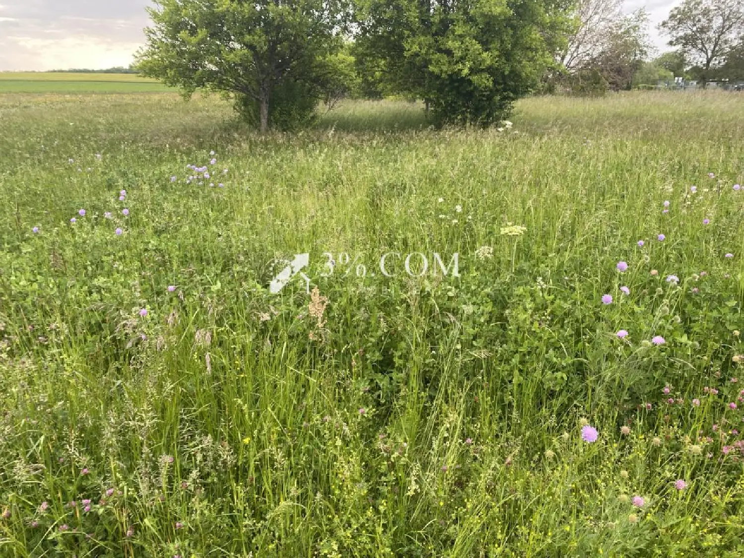  en venta terreno Aillianville Haute-Marne 2