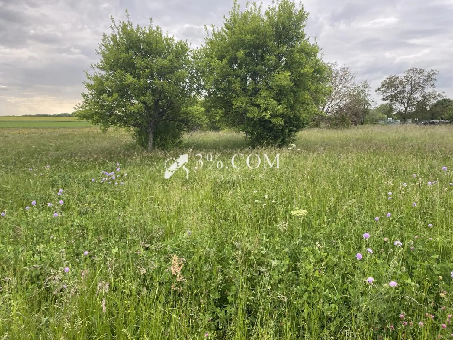  en venta terreno Aillianville Haute-Marne 3