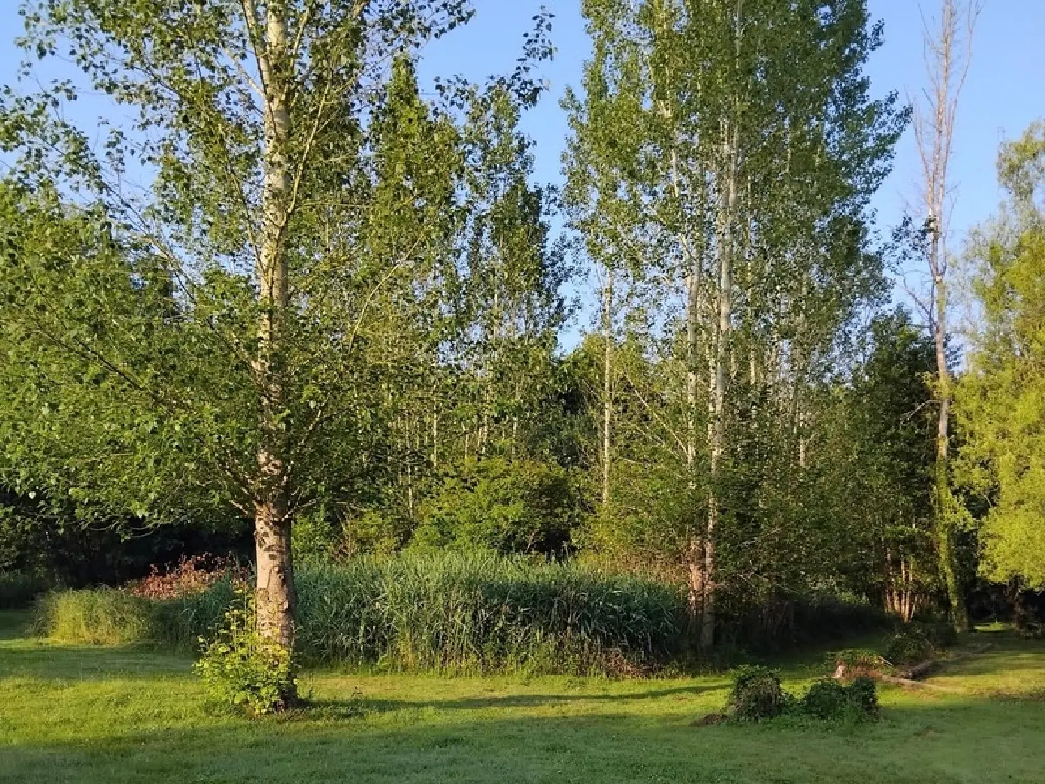  for sale terrain Aix-en-Othe Aube 3
