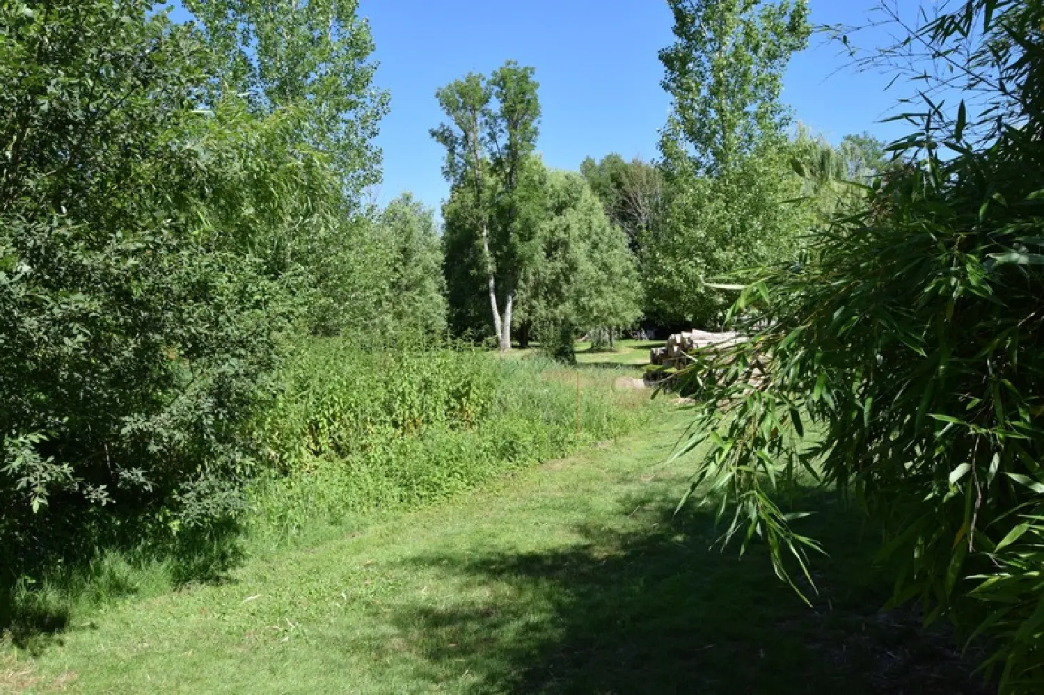  for sale terrain Aix-en-Othe Aube 8