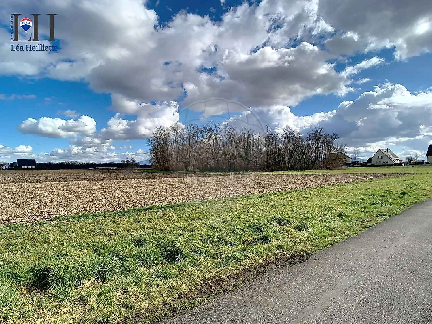  kaufen Grundstück Algolsheim Haut-Rhin 2
