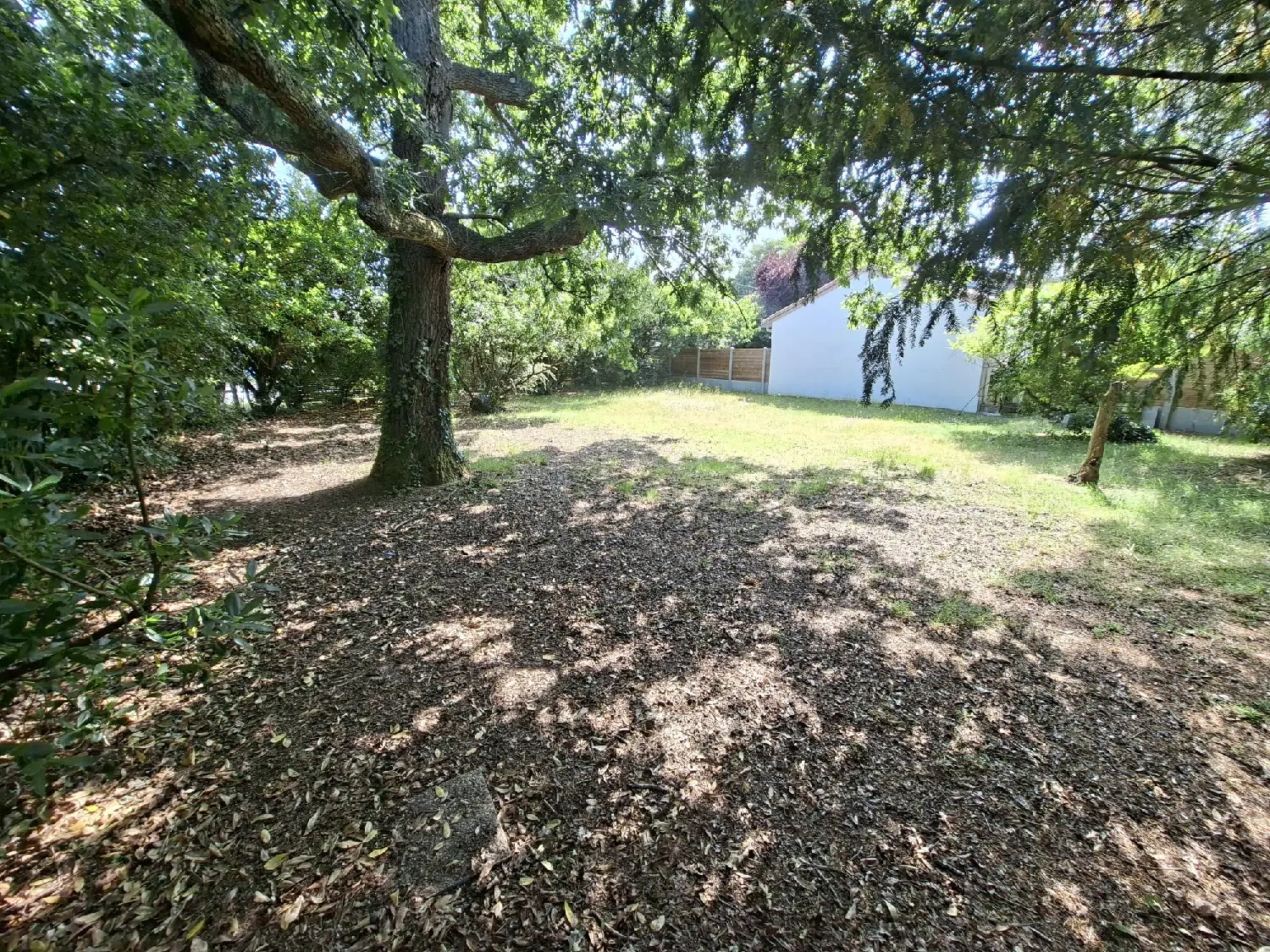  à vendre terrain Andernos-les-Bains Gironde 3