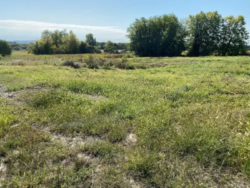 Angoumé Landes Grundstück Bild 7097316