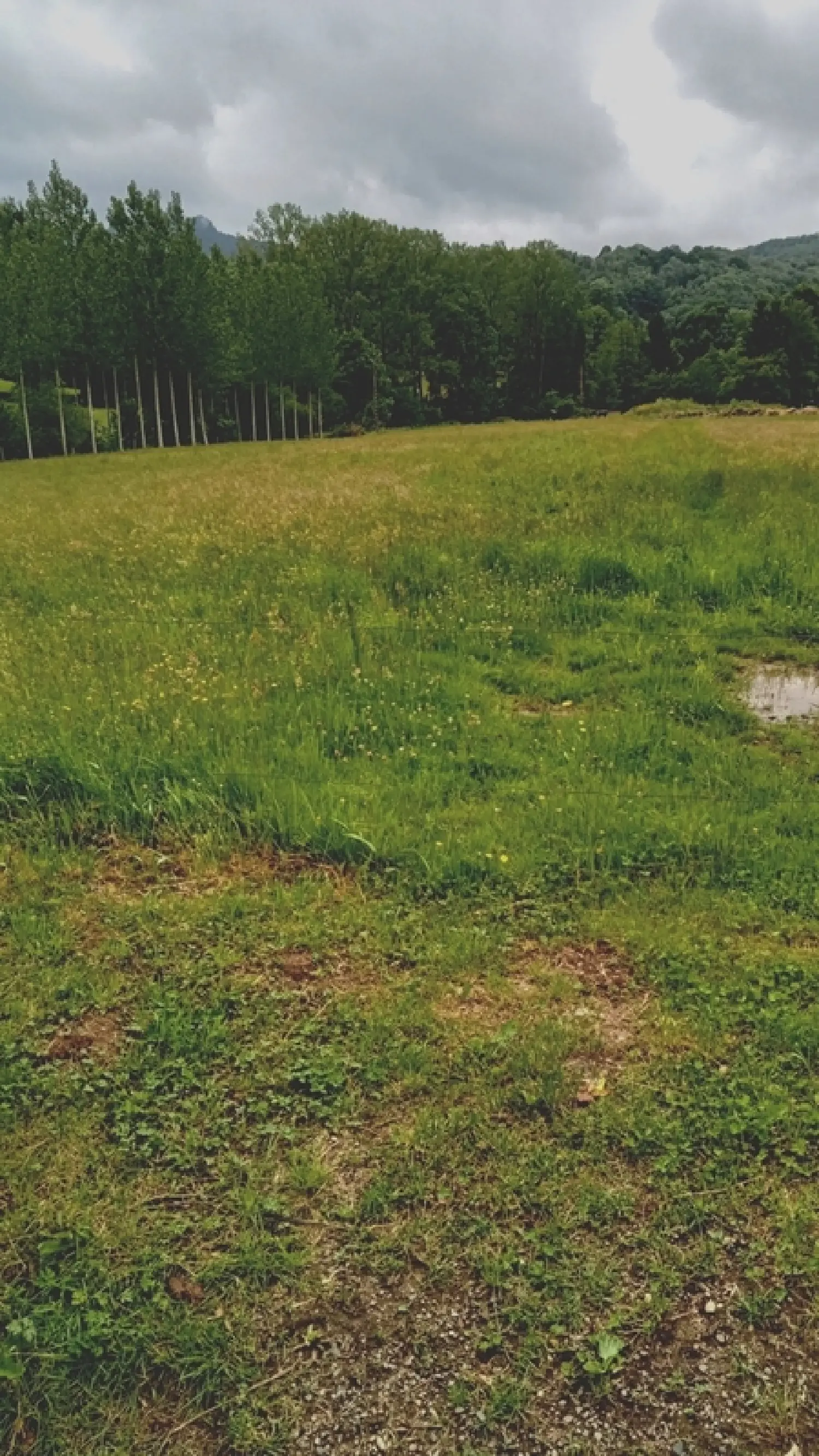  te koop terrein Arbas Haute-Garonne 1