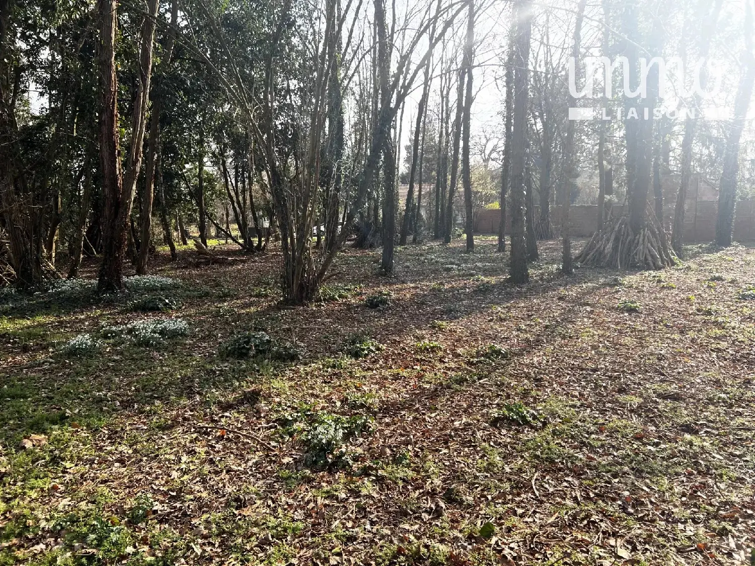  à vendre terrain Armentières-en-Brie Seine-et-Marne 3