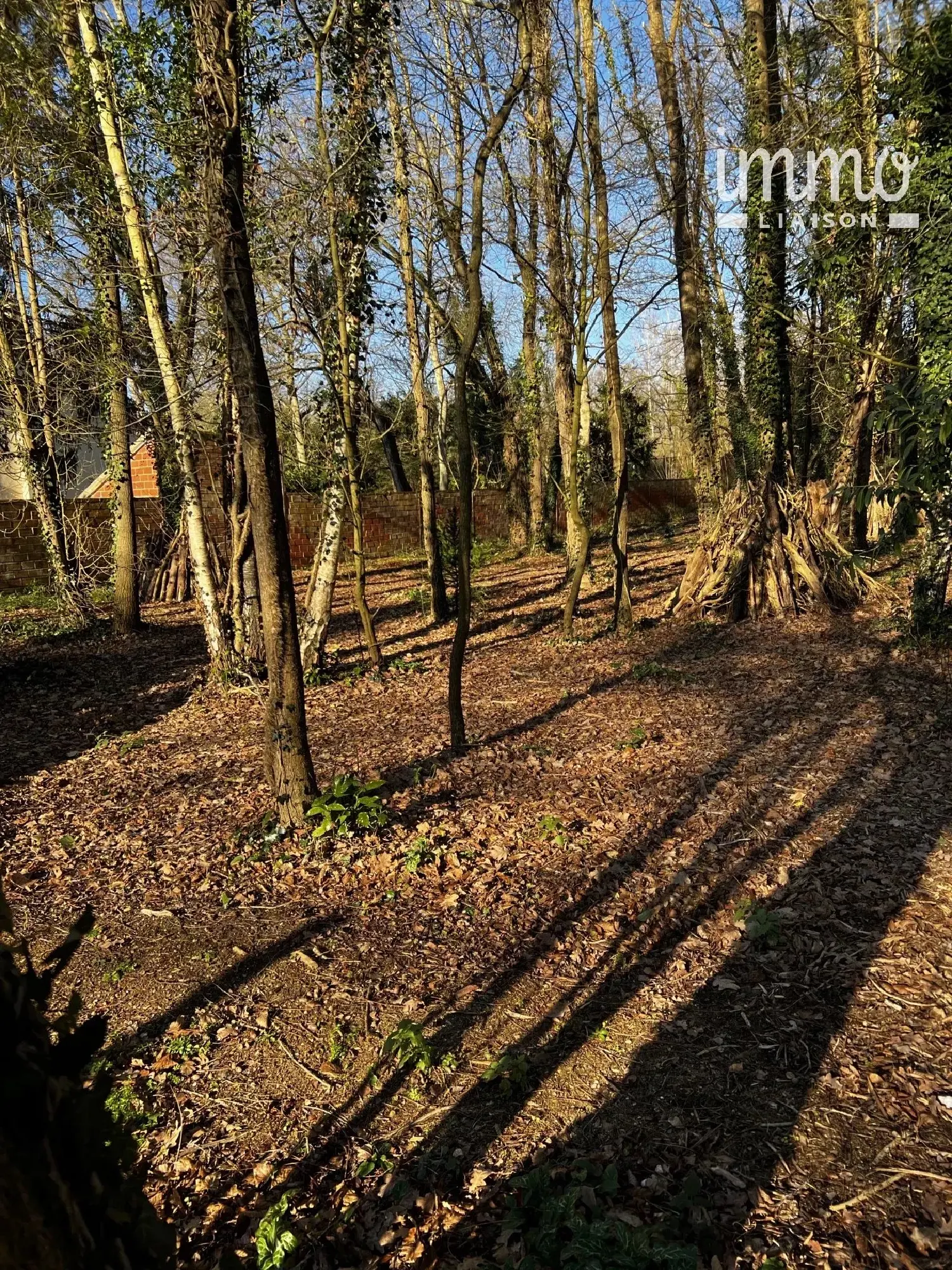  à vendre terrain Armentières-en-Brie Seine-et-Marne 4