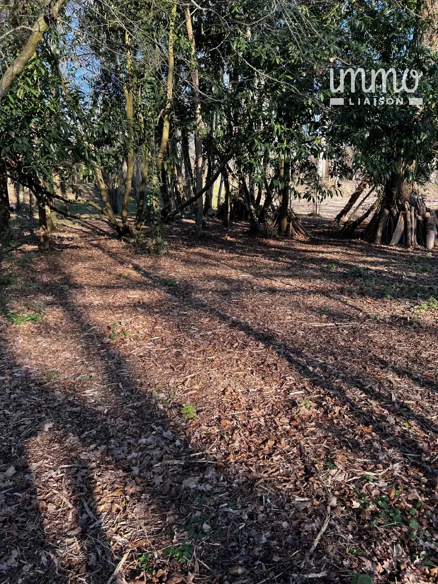  à vendre terrain Armentières-en-Brie Seine-et-Marne 5