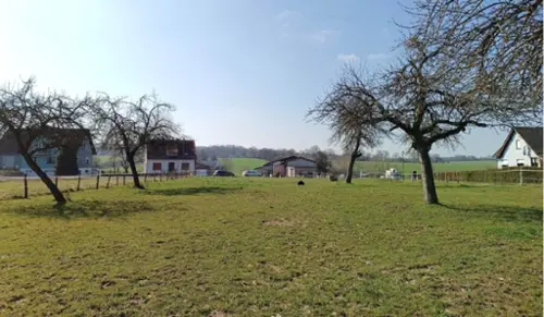 Asswiller Bas-Rhin Grundstück Bild 7099954