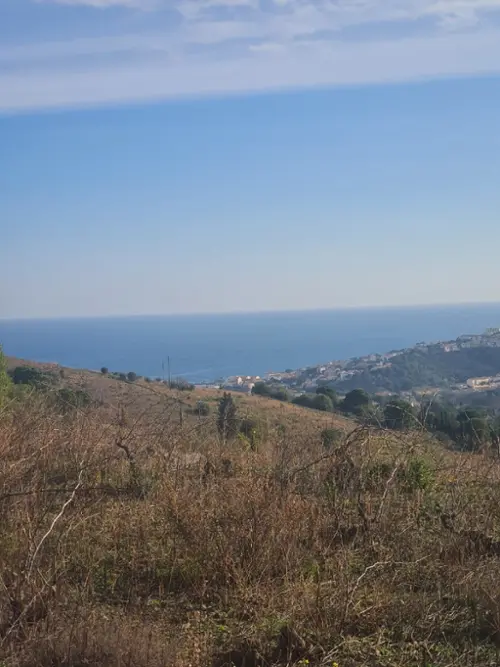 Banyuls-sur-Mer Pyrénées-Orientales terrain foto 7093718