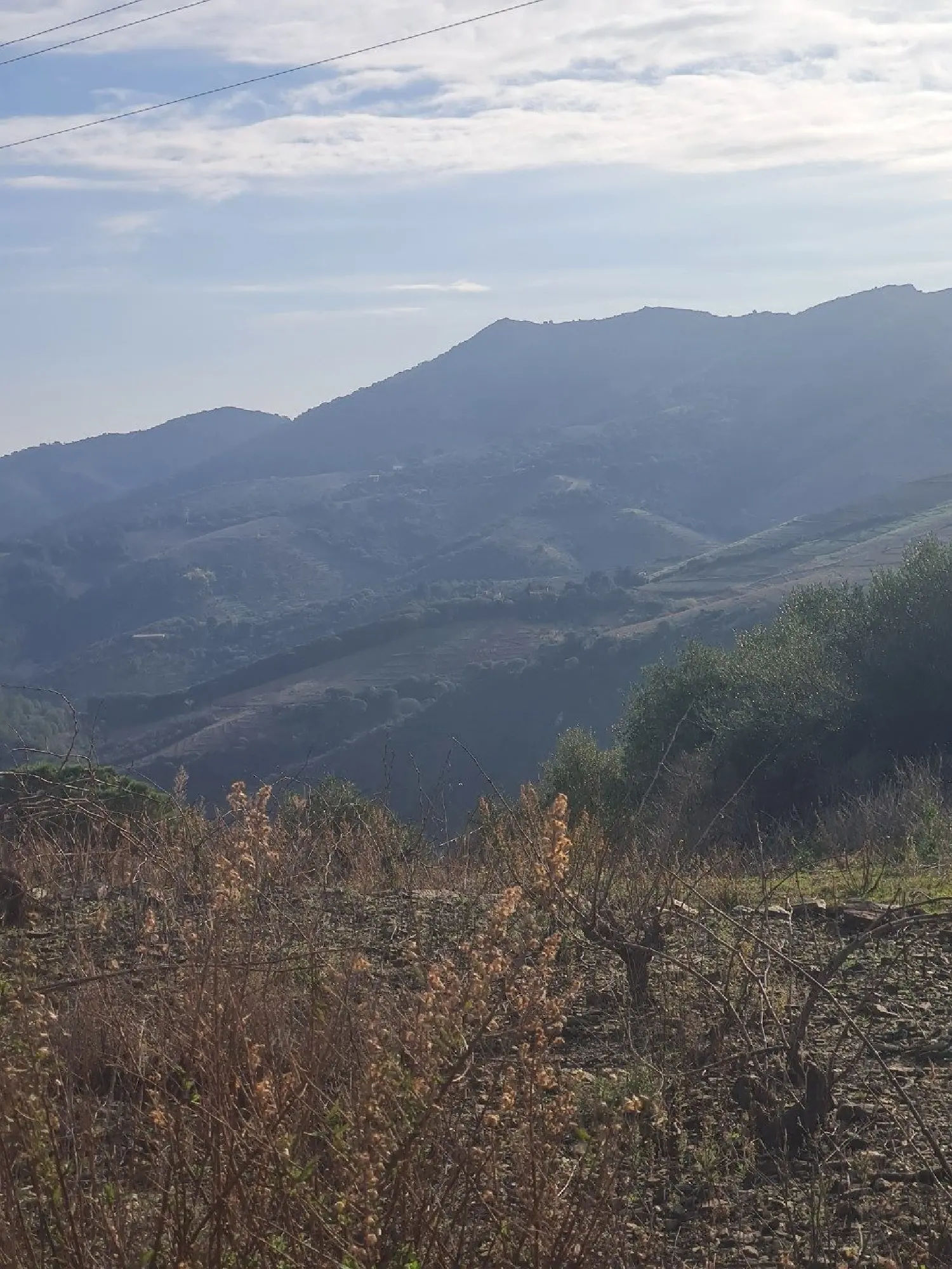  te koop terrein Banyuls-sur-Mer Pyrénées-Orientales 3
