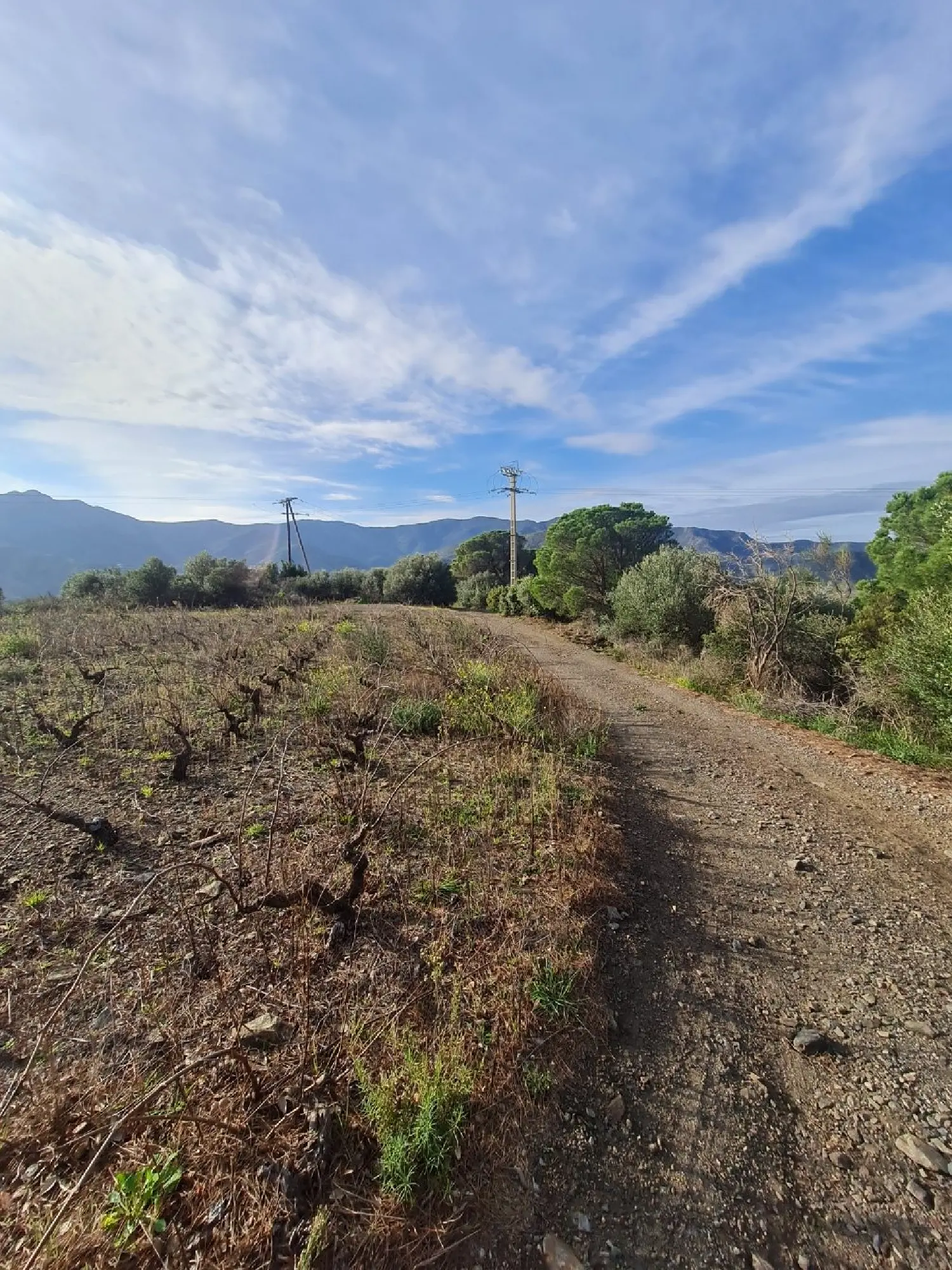  te koop terrein Banyuls-sur-Mer Pyrénées-Orientales 4