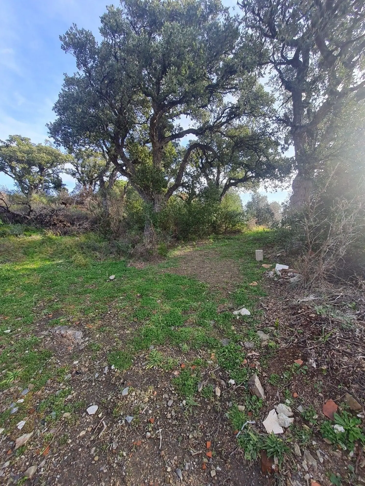  te koop terrein Banyuls-sur-Mer Pyrénées-Orientales 6