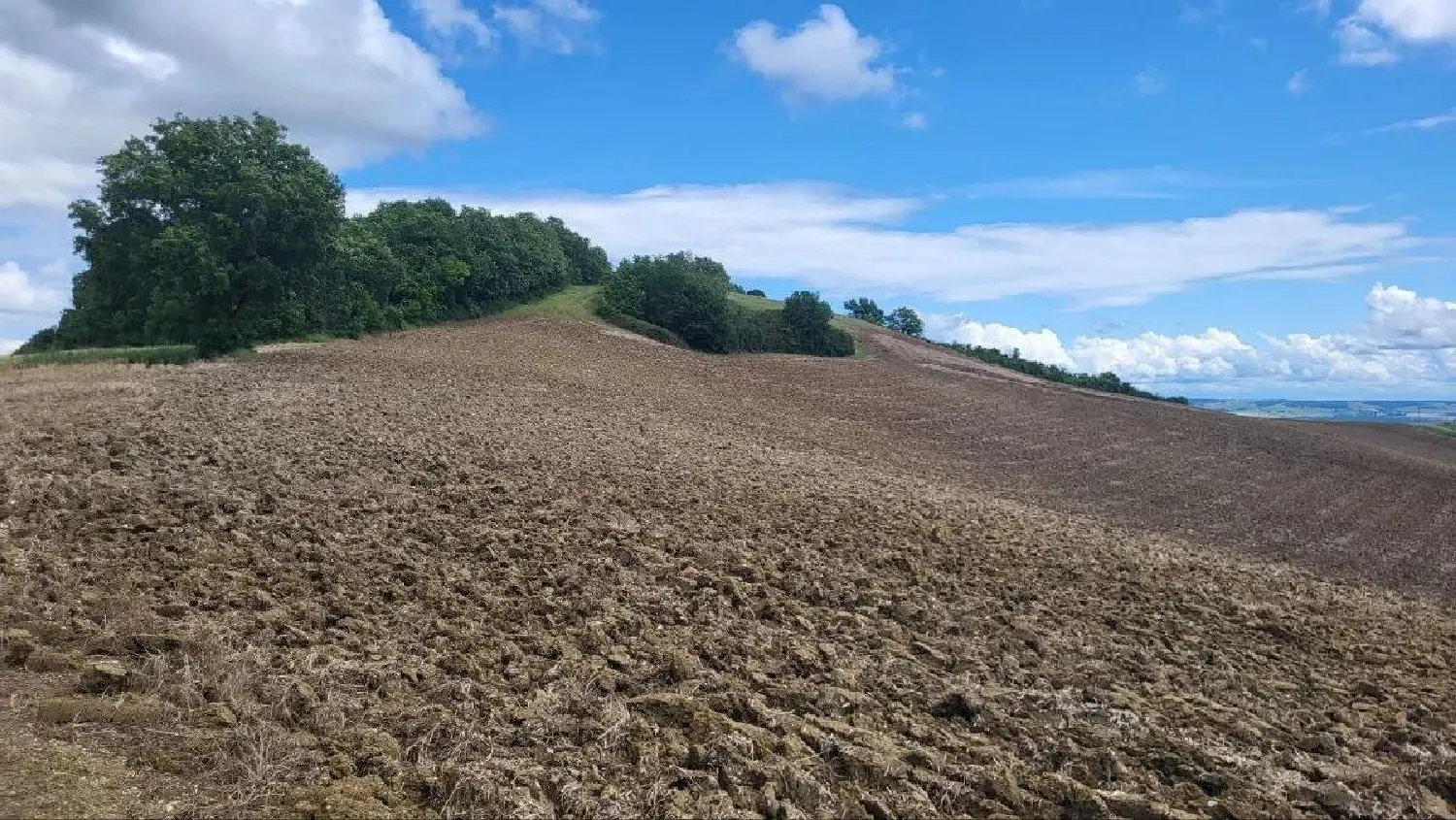  for sale terrain Beaumont-de-Lomagne Tarn-et-Garonne 1