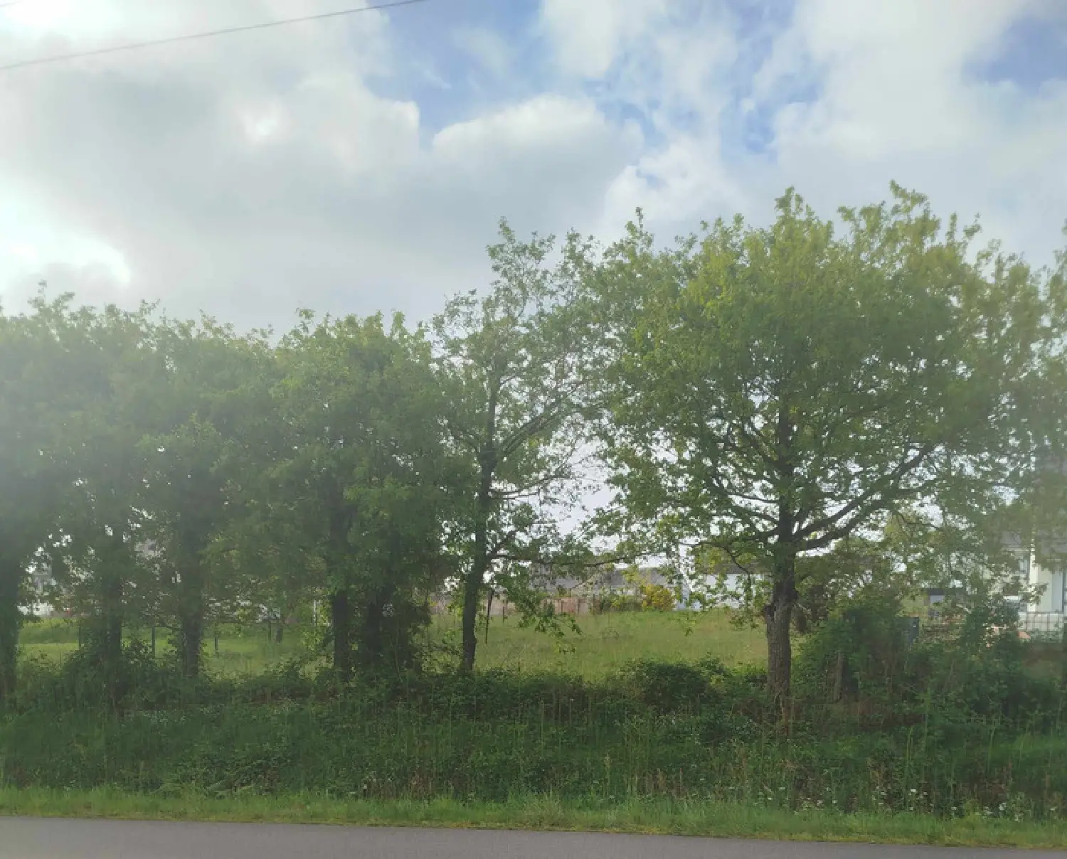  à vendre terrain Béganne Morbihan 5