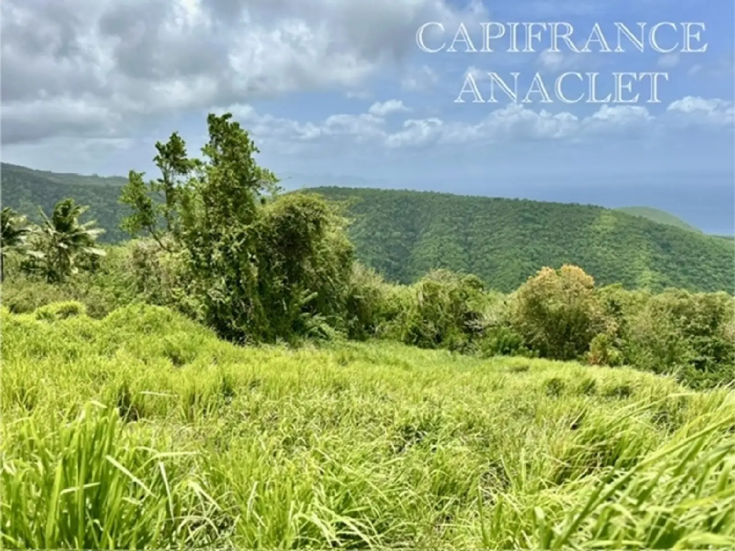  te koop terrein Bellefontaine Val-d'Oise 2