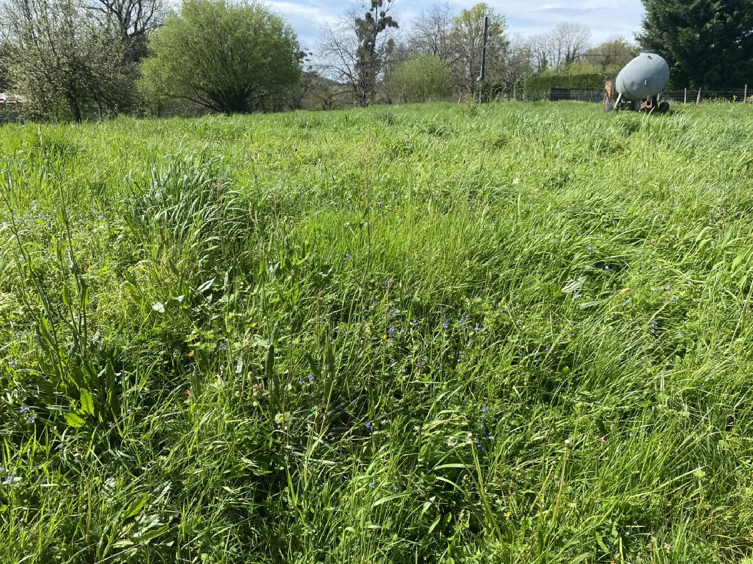  à vendre terrain Belmont-Tramonet Savoie 1